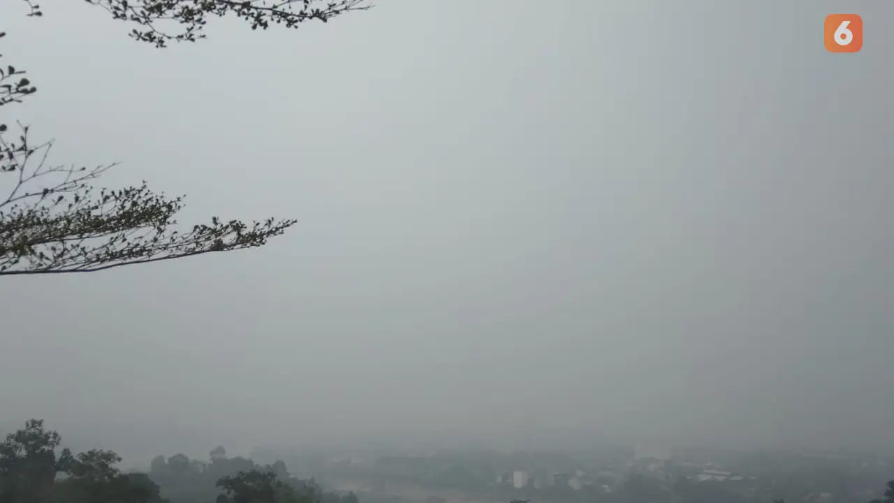 Kabut Asap, Kabut Asap Kalimantan Tengah, Kabut Asap Kalimantan Barat, Kabut Asap Pekanbaru