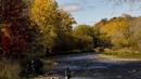 Seorang nelayan melemparkan pancingnya saat dia memancing ikan trout di Credit River di antara warna-warni musim gugur di Mississauga, Ontario, pada Kamis, 27 Oktober 2022. (Nathan Denette/The Canadian Press via AP)