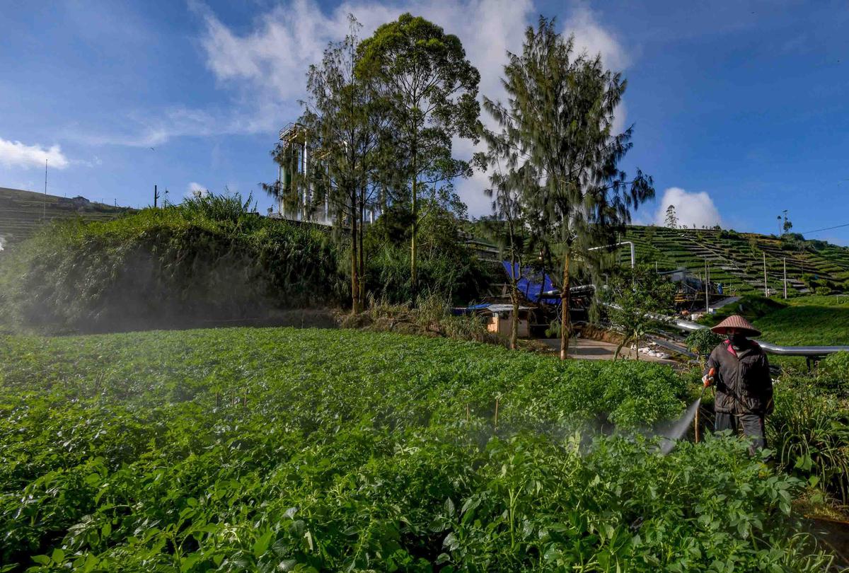 FOTO: Petani Kentang Dieng Terpinggirkan di Tengah Turunnya Harga Pupuk Subsidi