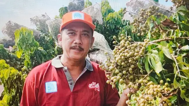 8 Wisata Petik Buah/npkmutiara.com