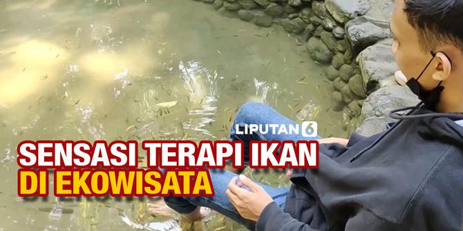 VIDEO: Rasakan Sensasi Terapi Ikan di Ekowisata Sungai Mudal Kulon Progo