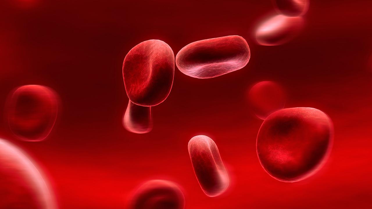 Metode yang Benar dalam Merawat Anak Hemofilia Agar Tetap Sehat dan Aktif
