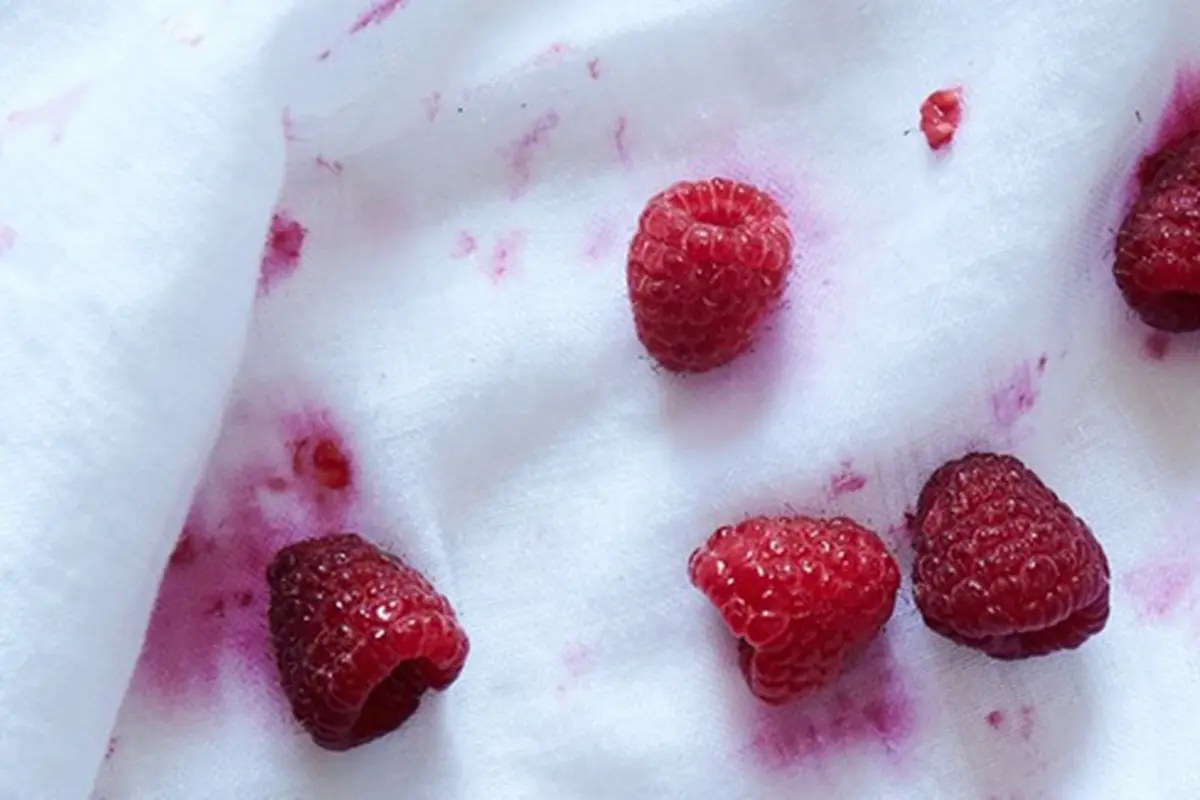 copyright by thekitchn.com/ Linda Xiao