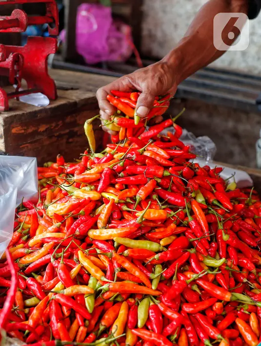 Pedagang menata cabai rawit di Pasar Kebayoran, Jakarta, Selasa (7/3/2023). Harga cabai rawit merah di DKI Jakarta terpantau naik sudah menembus Rp 100 ribu per kilogram. (Liputan6.com/Angga Yuniar)