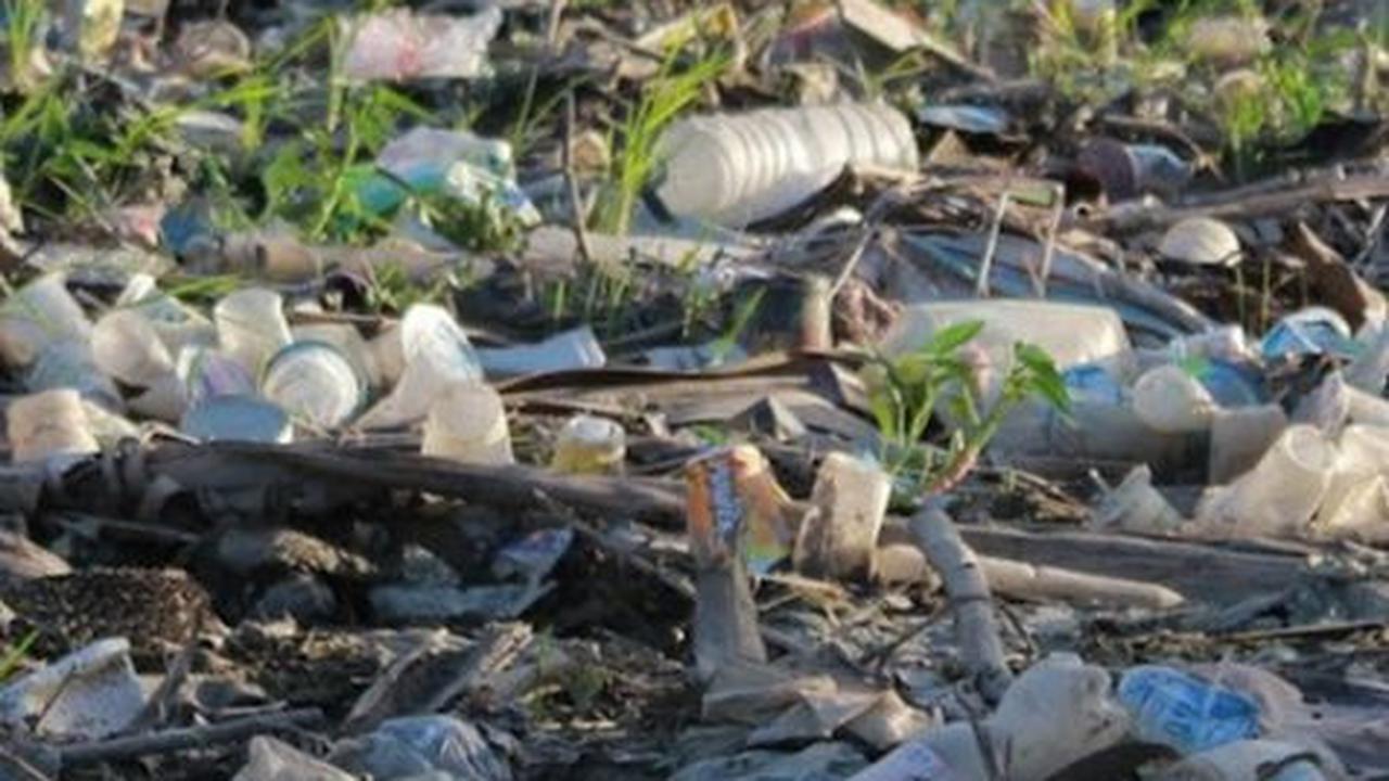Ekonomi Sirkular Jadi Solusi Persoalan Sampah di Indonesia, Begini Skemanya
