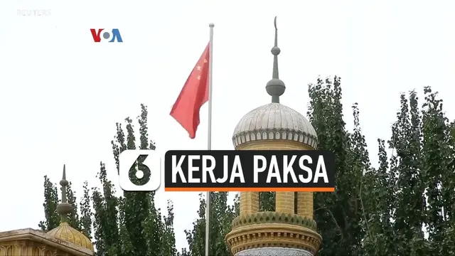 VIDEO: Kongres AS Soroti Kerja Paksa Uighur