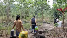 Lahan Sawit Ilegal Ditemukan di Bukit Tengkorak