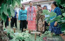 PKK Sumut Supervisi Program HATINYA PKK di Pematangsiantar, Warga Sukses Panen Aneka Tanaman Produktif!