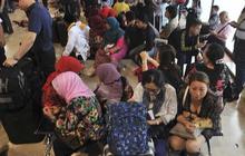 YLKI: Jangan hanya minta maaf, AP II harus ganti kerugian konsumen