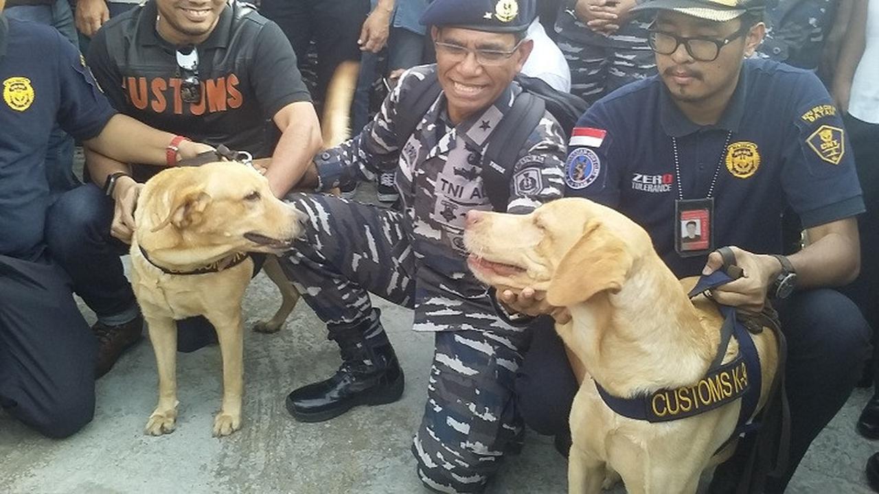 Anjing Pelacak Penemu 1 Ton Sabu