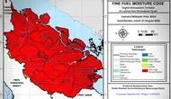 1.104 Titik Panas Kebakaran Hutan Terdeteksi di Sumatera, Sumsel Tertinggi