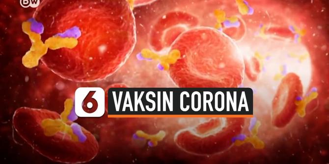 VIDEO: Pembuatan Vaksin Corona, Harus Menunggu Berapa Lama?
