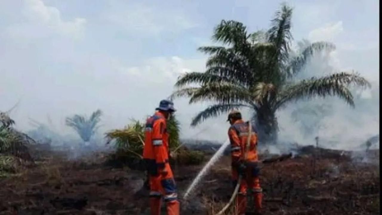 Sudah Hari Ketiga, BPBD Sumsel Kerahkan Tim Darat dan Udara Padamkan Karhutla OKI: Apa Penyebabnya?