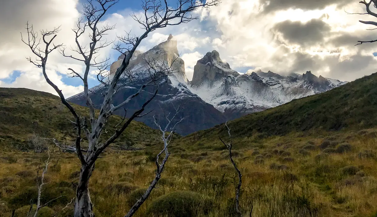 Pemandangan Taman Nasional Torres del Paine di wilayah Magallanes, Chile pada 16 April 2019. Berwisata ke taman nasional ini akan mengajak pengunjung berpetualang dan bertemu dengan beragam flora dan fauna hutan dalam kondisi alamiah mereka. (Ana FERNANDEZ / AFP)