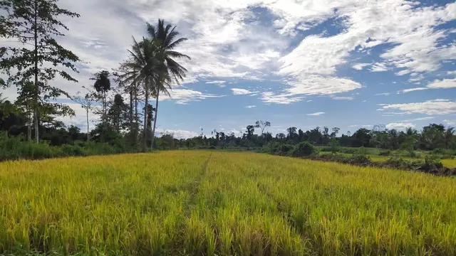 Kementan
