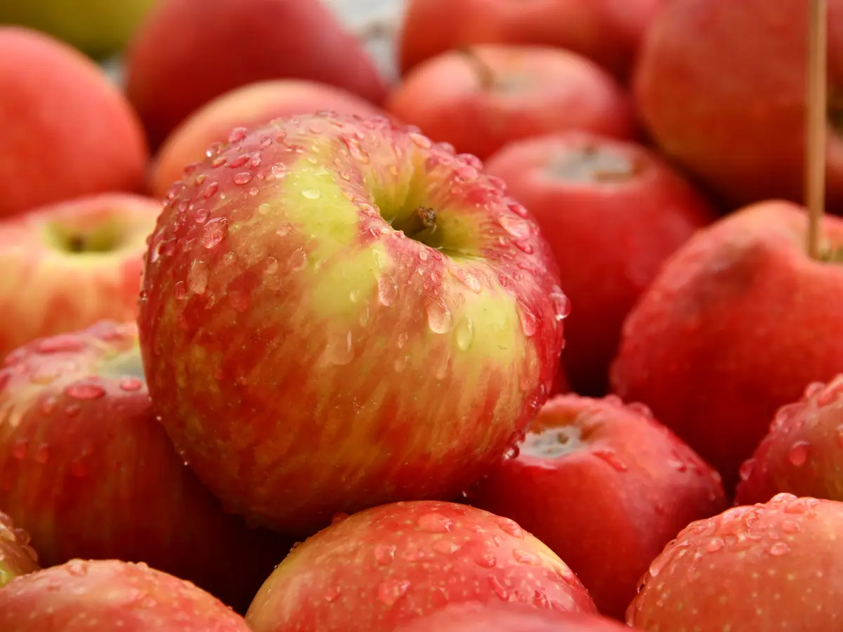 Manfaat Makan Buah Apel Untuk Kesehatan Pencernaan