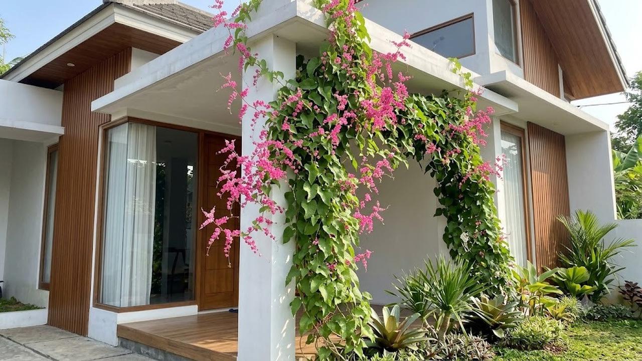 Bunga Air Mata Pengantin di Tiang Rumah (AI Generated)