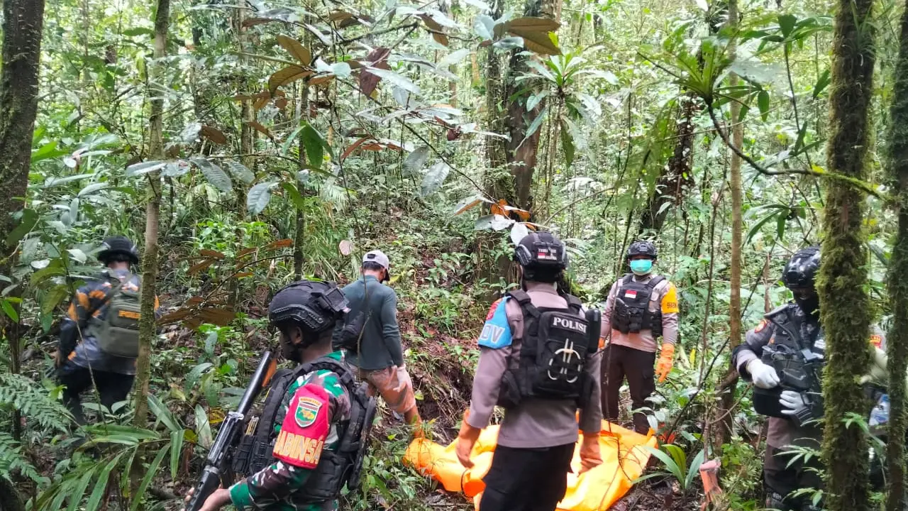Provinsi Papua Pegunungan (Istimewa)
