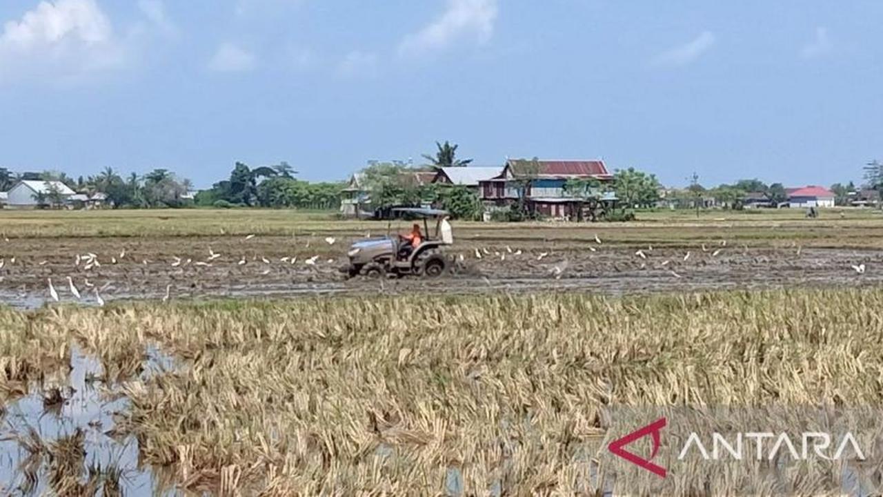 Bupati Sidrap Airi Sawah Terdampak Kemarau, Jaga Produktivitas Pangan Nasional