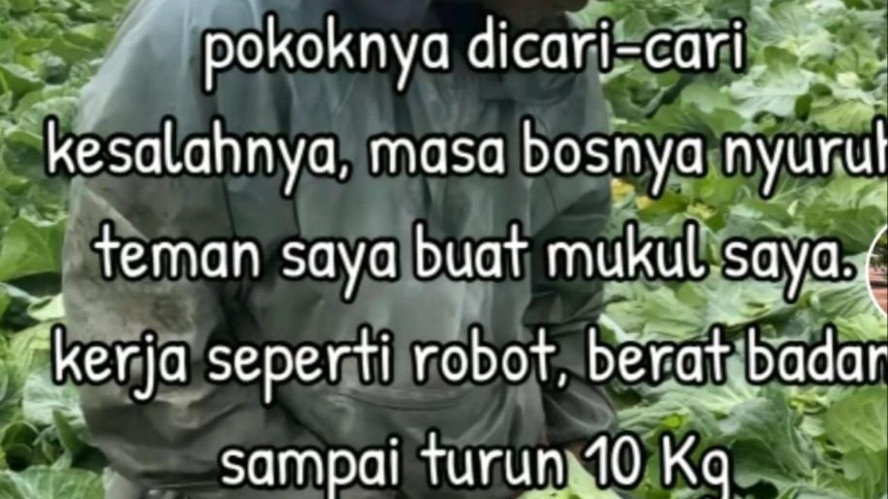 Dok. Istimewa