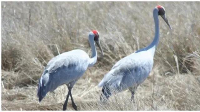 Foto : copyright offexploring.com