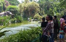 Manfaatkan hari libur, warga Jakarta berwisata ke Ragunan