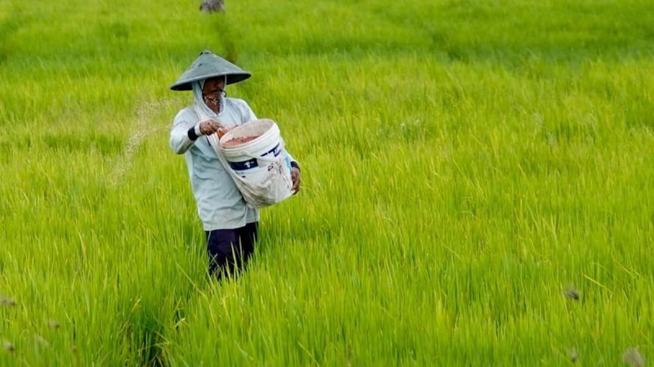 Mentan Tegaskan Cabut Izin Kios Pupuk Pelanggar HET, Jamin Keadilan Petani