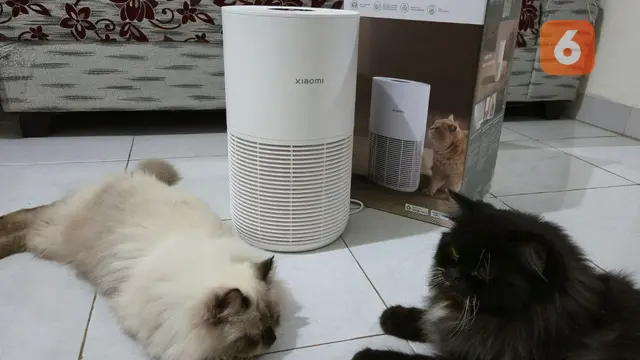 Xiaomi Smart Pet Air Purifier