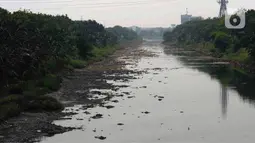 Surutnya air Kanal Banjir Timur dipengaruhi musim kemarau sehingga beberapa bagian sungai membentuk daratan. (merdeka.com/Imam Buhori)