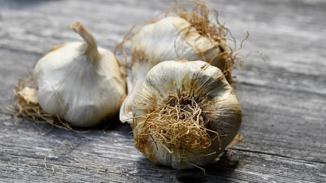 Menggunakan Bawang Putih