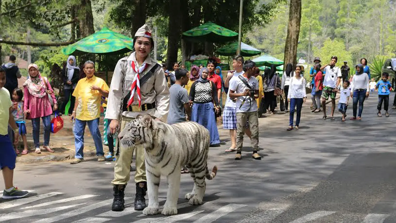Keeper Taman Safari Indonesia
