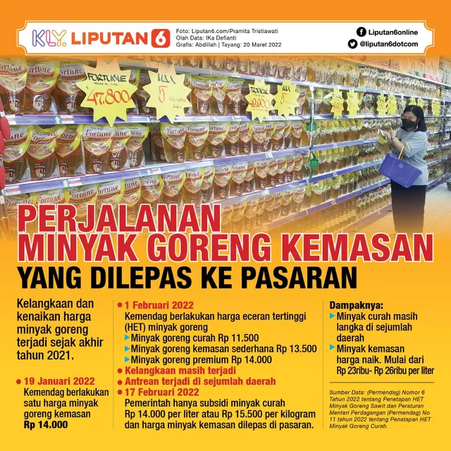 infografis journal