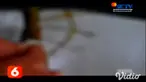 Akibat pandemi Covid-19 aktivitas salah satu sanggar batik tulis di Kecamatan Patrang, Jember, Jawa Timur, sempat membuat aktivitas terhenti dan kini dapat memulai kembali. Salah satunya dengan menciptakan batik bermotif virus corona.