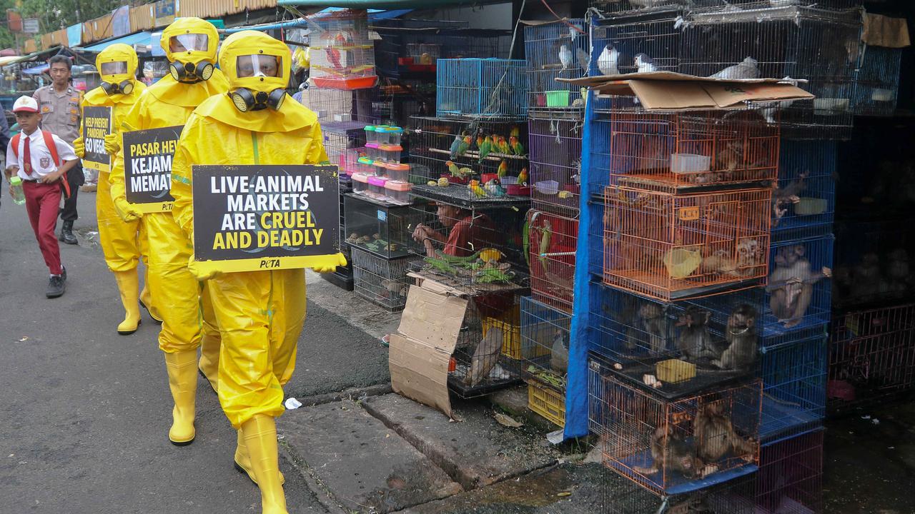Aktivis PETA demo di Pasar Hewan Jatinegara