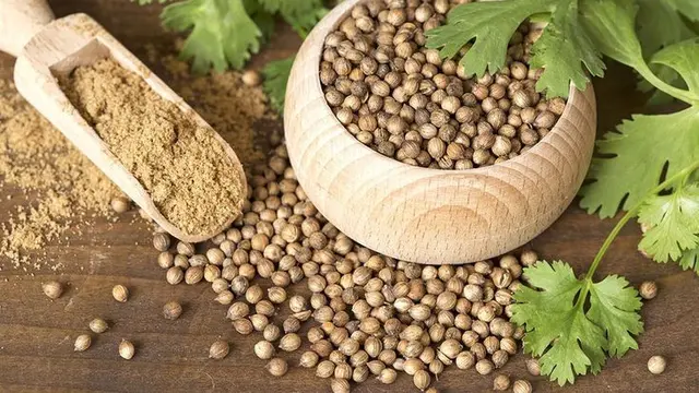 Ketumbar. (foto: Pinterest/Vegetarian Times).