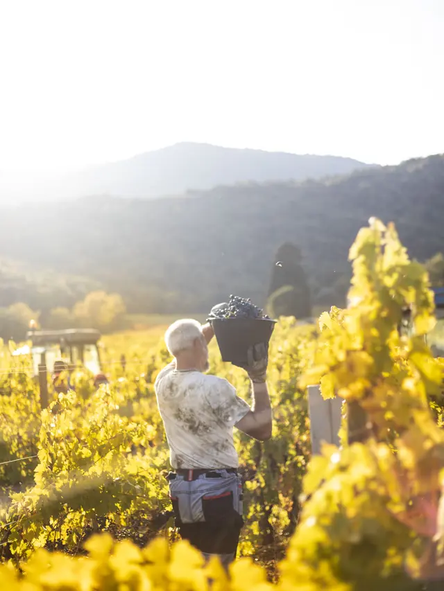 Teknik khas pembuatan pasta
