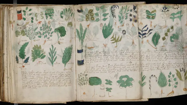 Voynich Manuscript