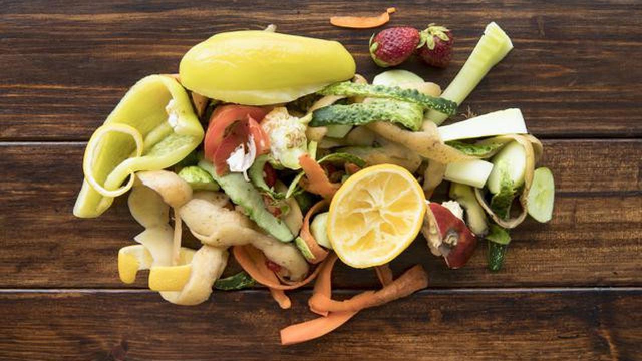 7 Limbah Rumah Tangga yang Cocok jadi Pupuk Alami, Trik Berkebun Murah dengan Hasil Optimal
