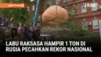 Seorang petani Rusia berhasil menumbuhkan labu raksasa dengan berat hampir 1 ton. Labu seberat 969 kilogram itu memecahkan rekor nasional sebagai labu terberat di Rusia.