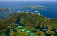 Izin Usaha Pertambangan Nikel Diduga Rusak Ekosistem Raja Ampat, Bahlil Langsung Bertindak