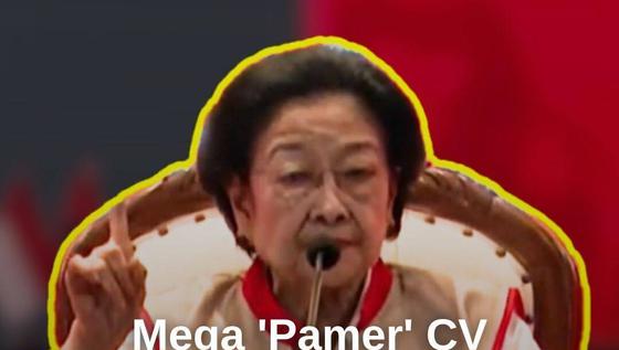 Mega Pamer CV
