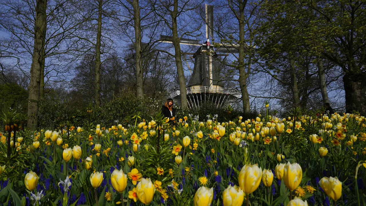 Ternyata Ini 8 Jenis Bunga Paling Cantik di Dunia - Citizen6 Liputan6.com