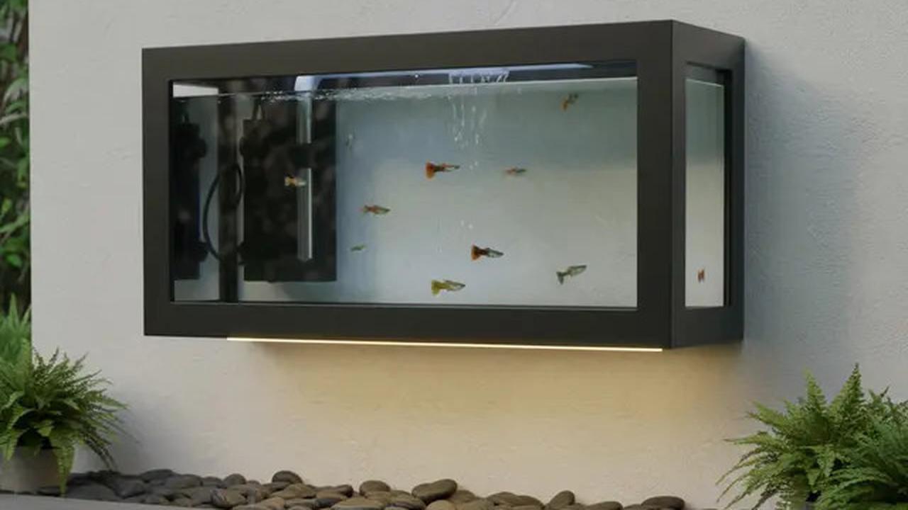 10 Model Kolam Ikan Mini untuk Taman Sempit, Pojokan Rumah Jadi Adem