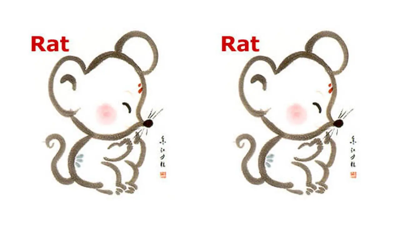 (C) chinese-zodiak.com