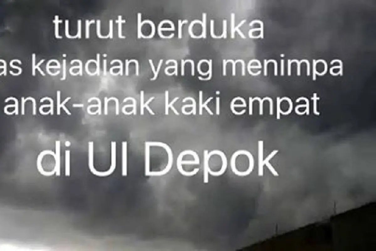 [Bintang] Anjing di UI