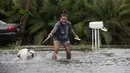 Darcelle Jacobs dan anjingnya berjalan dalam banjir di sepanjang jalan Pantai Fort Myers, Florida, Senin (31/7). Untungnya, tidak ada korban jiwa akibat badai tropis Emily. (The News-Press via AP/Andrew West)