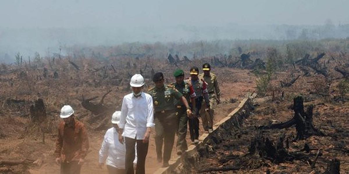 Sebut bencana asap tanggung jawab bersama