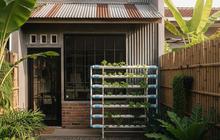 9 Desain Rumah Mungil dengan Halaman Belakang untuk Hidroponik, Tetap Nyaman dan Fungsional