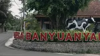 Cerita Banyuanyar, Desa Ramah Lingkungan yang Terus Maju Bersama Desa BRILiaN