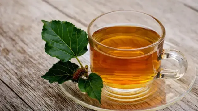 Teh Daun Murbei: Tips Menyimpan